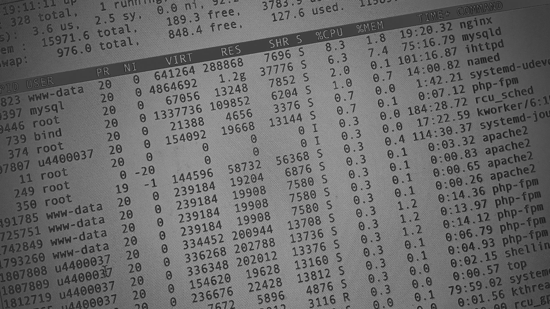 Настройка сервера в Новозыбкове