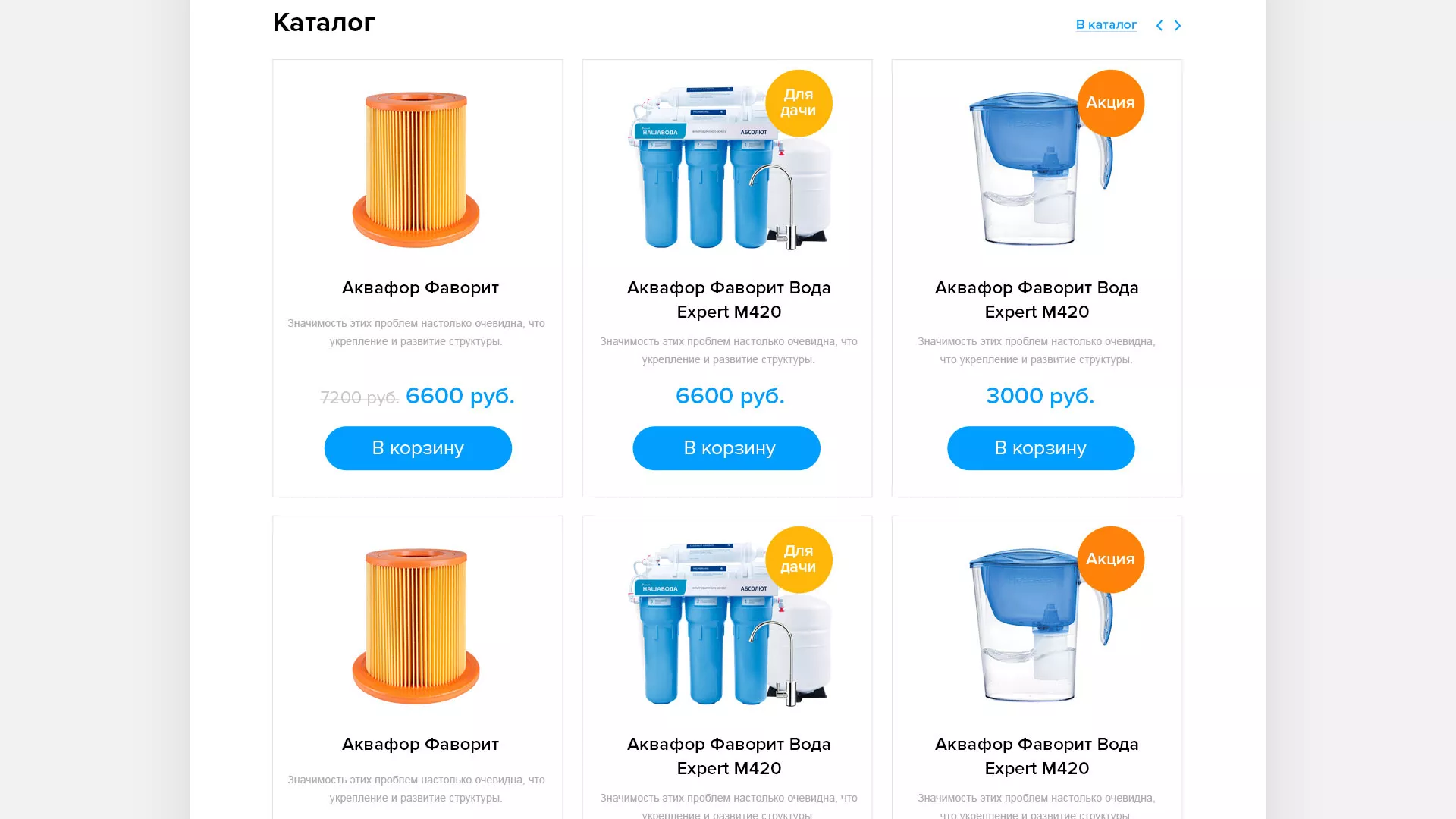 Создание интернет-магазина «Водолей» по продаже фильтров очистных сооружений в Новозыбкове