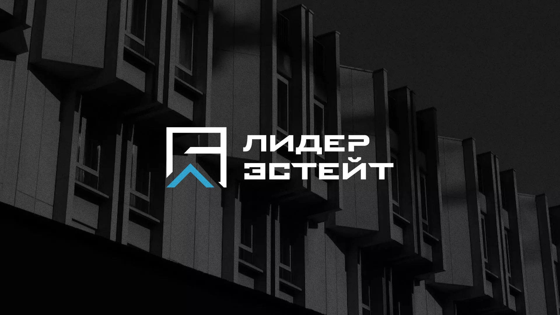 Разработка логотипа агентства недвижимости «Лидер Эстейт» в Новозыбкове